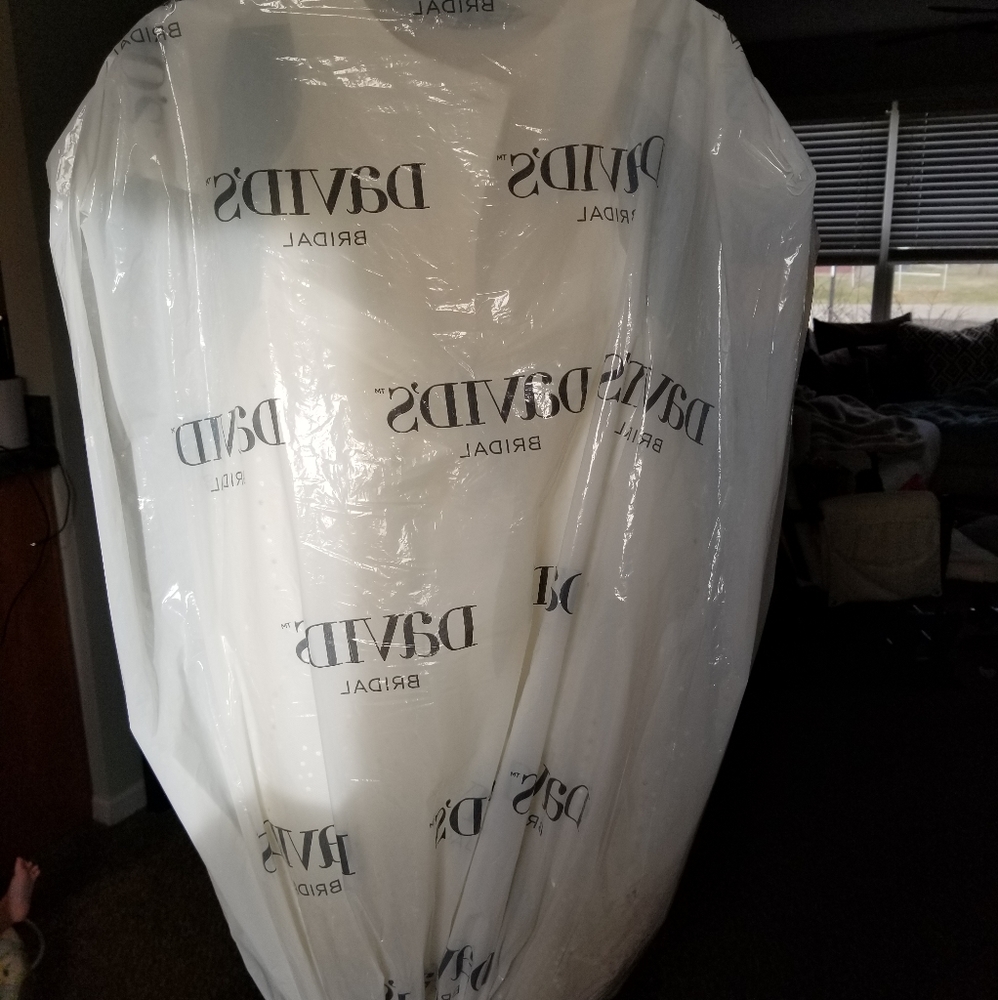 David's Bridal Flower Girl Dress size 3 - Picture 6 of 8